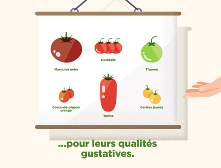 Agence LMWR - Be Work And Roll - Savéol et LMWR cherchent la petite bête !