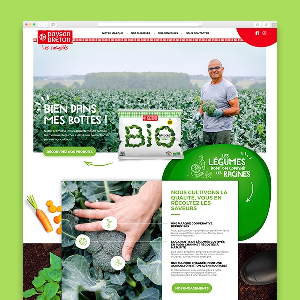 nouveau site paysan breton