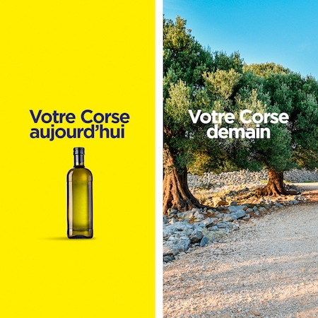 Campagne Covid-19 Corsica Ferries huile d'olive