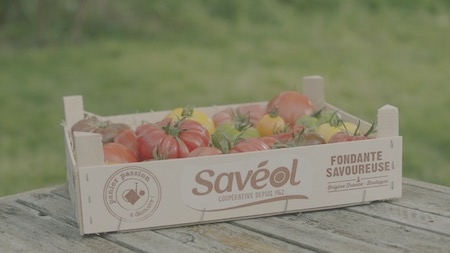 Savéol