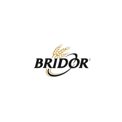 bridor